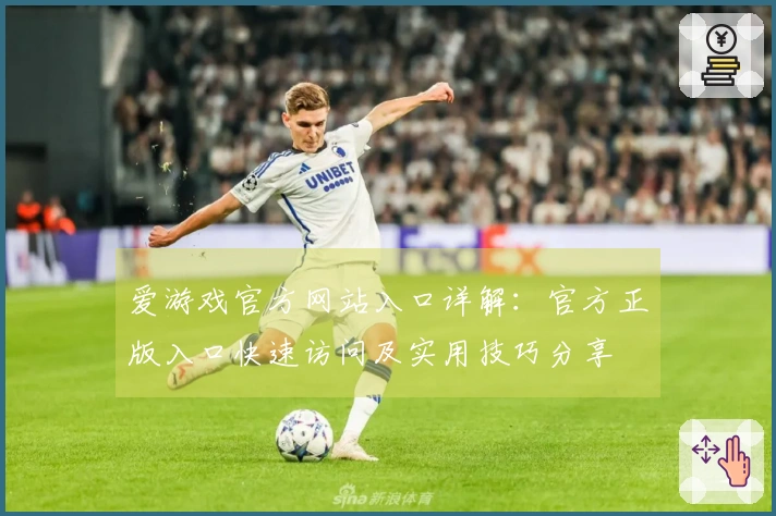爱游戏官方网站入口详解：官方正版入口快速访问及实用技巧分享