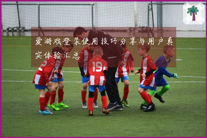 爱游戏登录使用技巧分享与用户真实体验汇总