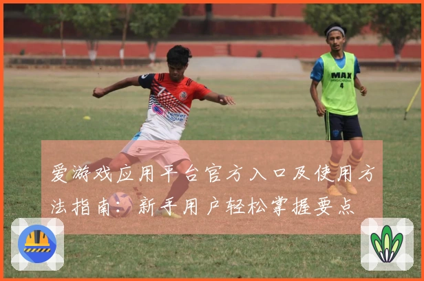 爱游戏应用平台官方入口及使用方法指南：新手用户轻松掌握要点